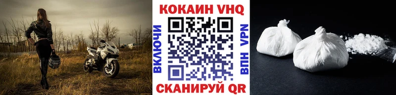 Купить закладки  Петровск-Забайкальский  Кокаин FishScale 