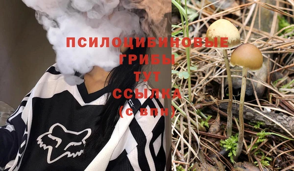 каннабис Корсаков
